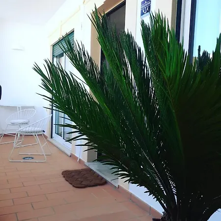 Casa Ocean Apartment