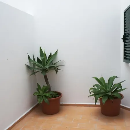 Apartment Ml