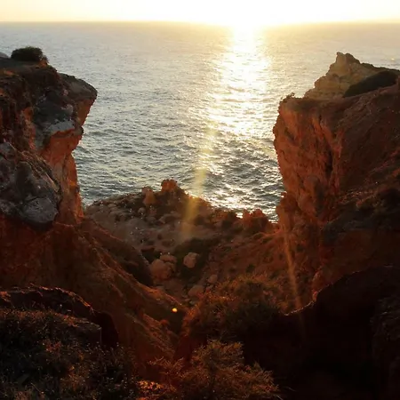 Casa Palmeira * Carvoeiro (Lagoa)